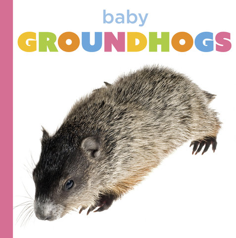 Baby Groundhogs