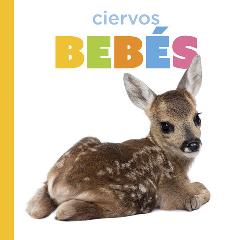 Ciervos bebés