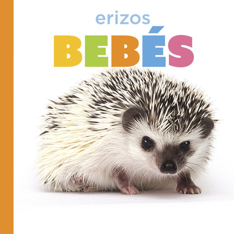 Erizos bebés