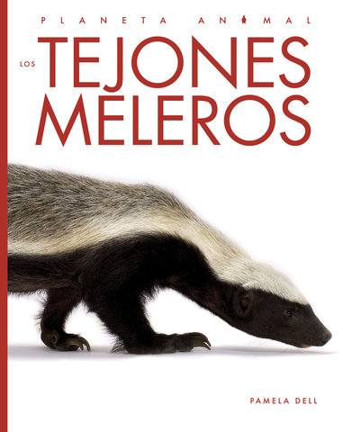 Los tejones meleros