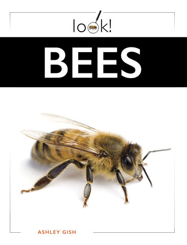 Bees