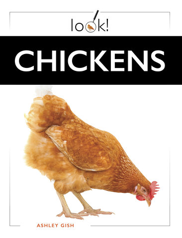 Chickens