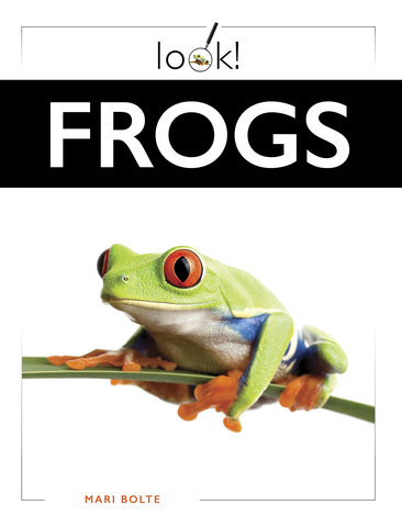 Frogs