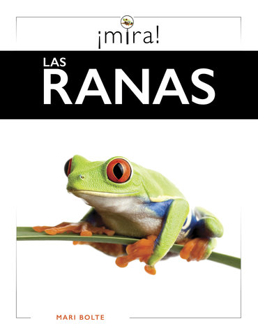 Las tortugas marinas