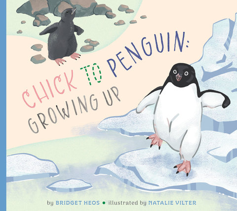 Chick to Penguin: Growing Up