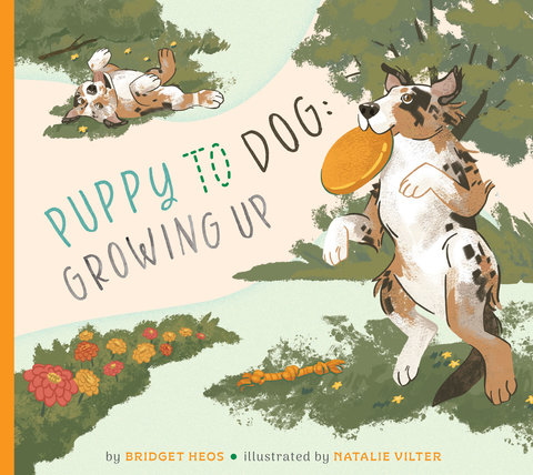 Puppy to Dog: Growing Up