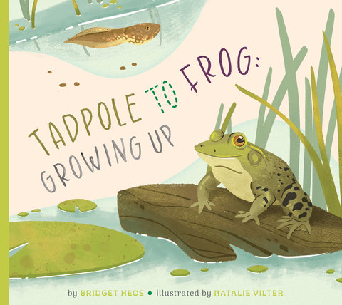 Tadpole to Frog: Growing Up