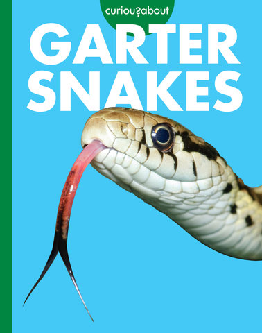 Curious about Garter Snakes