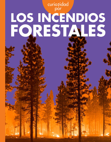 Curiosidad por los incendios forestales