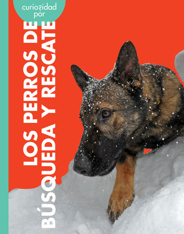 Curiosidad por los perros de búsqueda y rescate