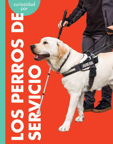 Curiosidad por los perros de servicio