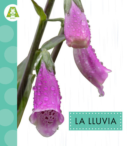 La lluvia
