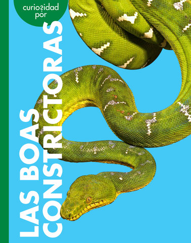 Curiosidad por las boas constrictoras