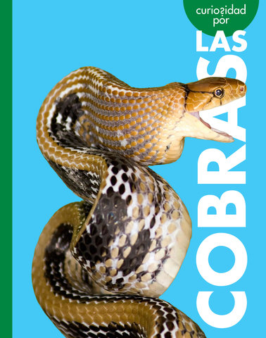 Curiosidad por las cobras
