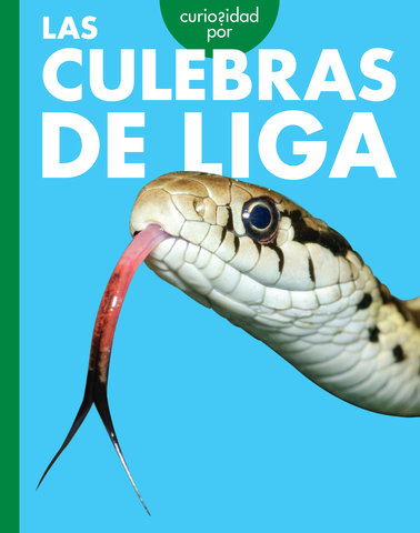 Curiosidad por las culebras de liga