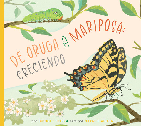 De la oruga a la mariposa: creciendo