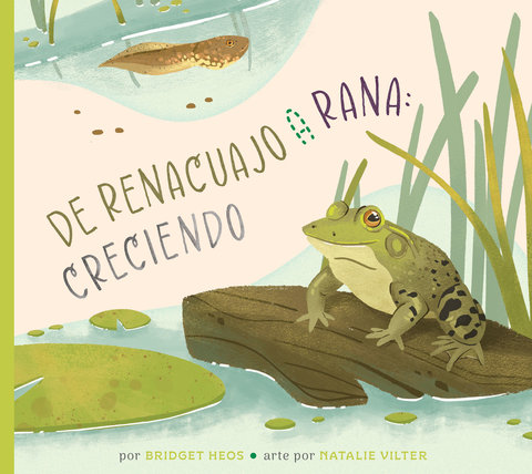 Del renacuajo a la rana: creciendo