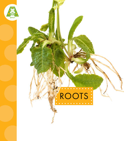 Roots