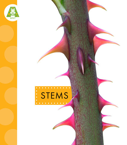 Stems