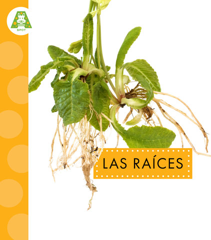 Las raíces