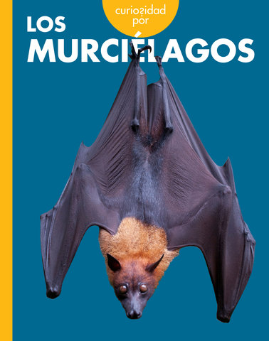 Curiosidad por los murciélagos