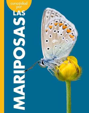 Curiosidad por las mariposas