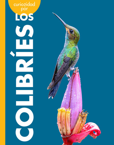Curiosidad por los colibríes