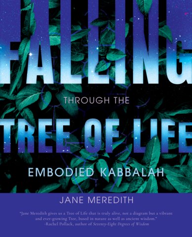 Falling Through the Tree of Life