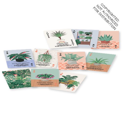 House Plants Playing Cards CDU of 6