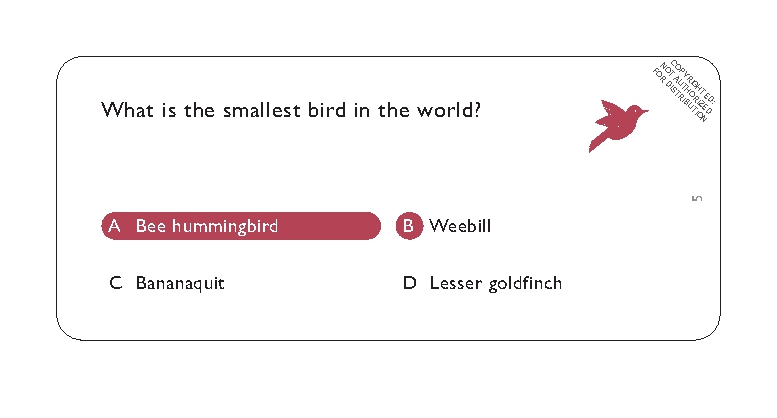 Bird Trivia