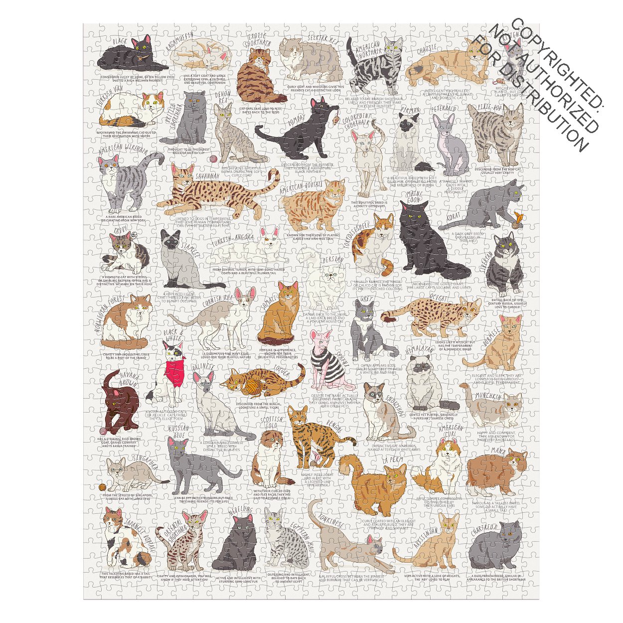 Cat Lover's 1000 Piece Jigsaw Puzzle
