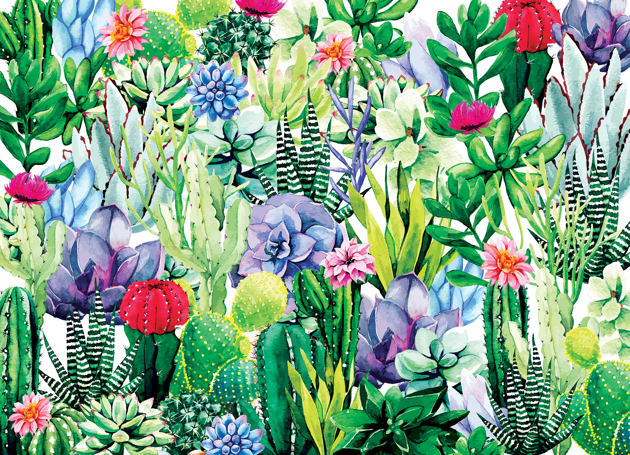 Cactus 1000 piece puzzle for adults - Unique Puzzles for adults 1000 pieces and up With Droplet Technology For Anti Glare & Soft Touch - 27.5"Lx19.5"W