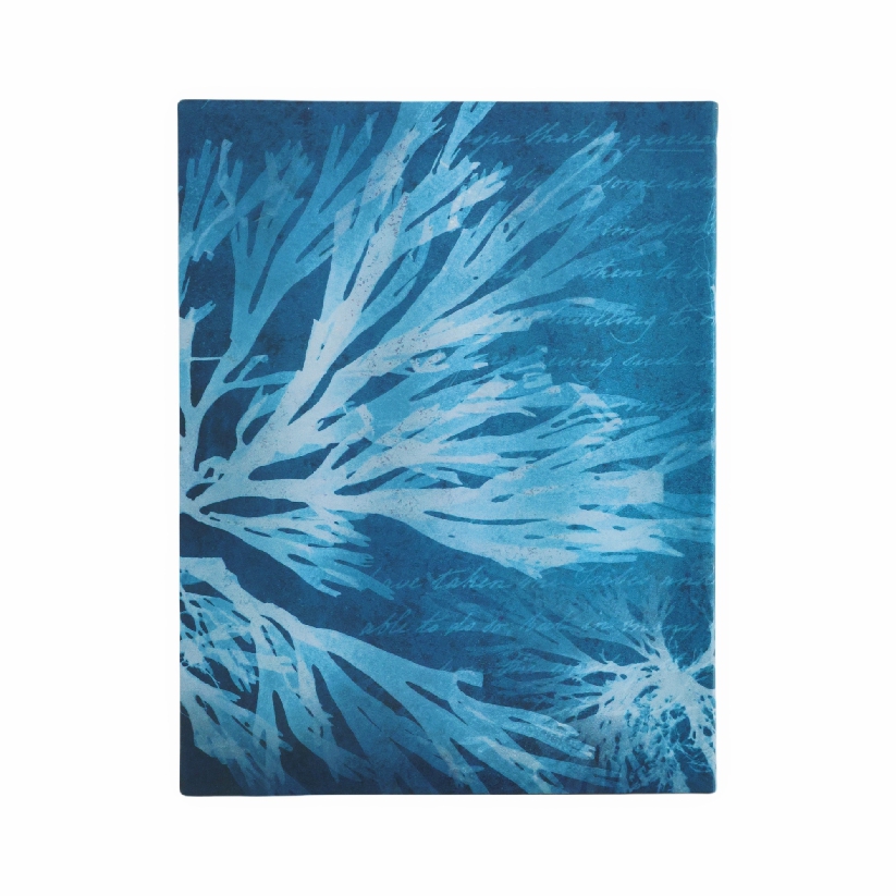 Sea Flowers Ultra Lined Softcover Journal, 176pg, 100GSM, Treasures of The New York Public Library by Paperblanks (Anna Atkins' Cyanotypes)
