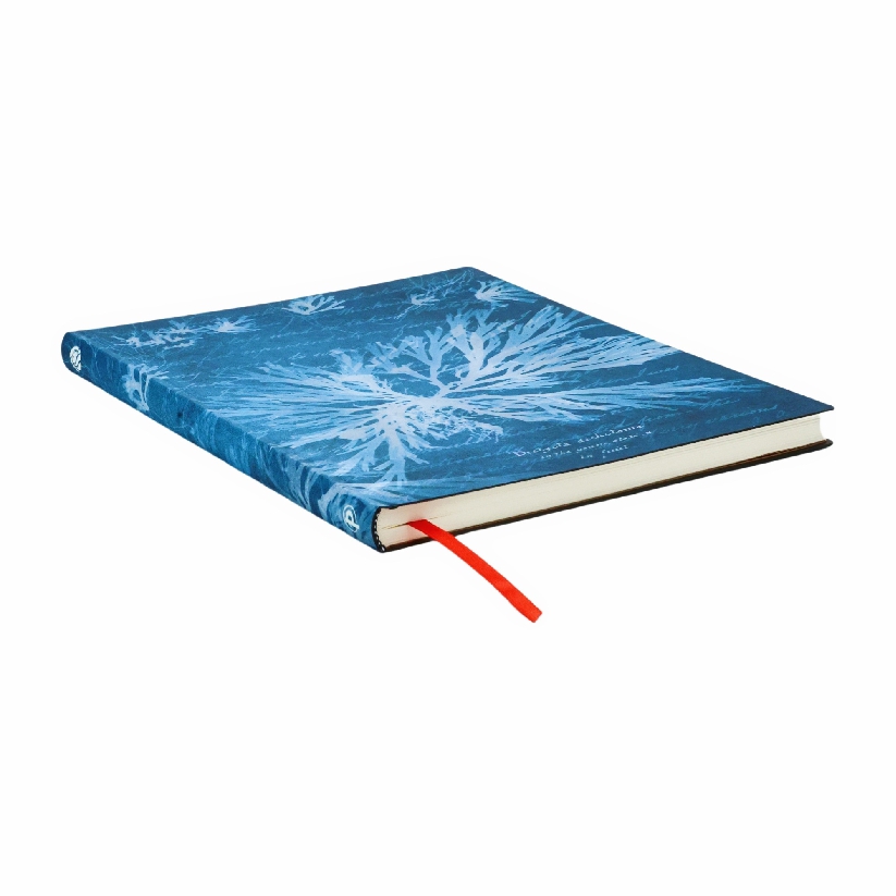Sea Flowers Ultra Lined Softcover Journal, 176pg, 100GSM, Treasures of The New York Public Library by Paperblanks (Anna Atkins' Cyanotypes)