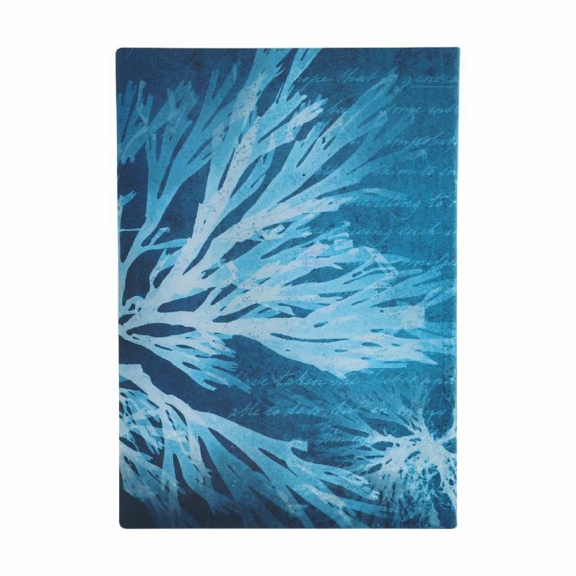 Sea Flowers Midi Unlined Softcover Journal, 176pg, 100GSM, Treasures of The New York Public Library by Paperblanks (Anna Atkins' Cyanotypes)