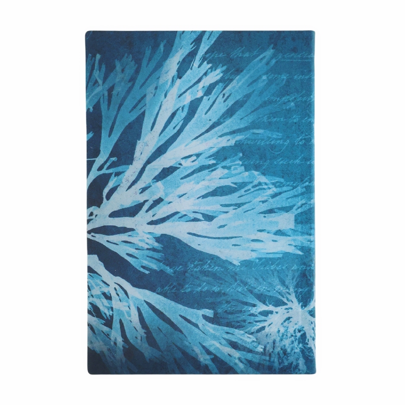 Sea Flowers Mini Lined Softcover Journal, 208pg, 80GSM, Treasures of The New York Public Library by Paperblanks (Anna Atkins' Cyanotypes)