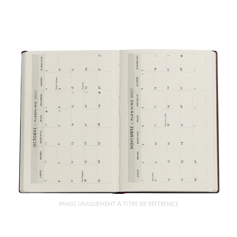 French 2027 Shadows of Navarre Mini Daily Hardcover 12-Month Daily Planner, 432pg, 80GSM by Paperblanks (Fourth Wing)