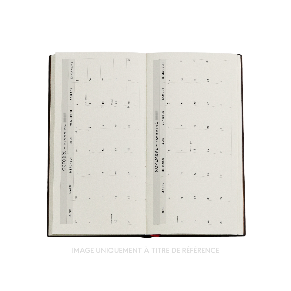 French 2027 Golden Age of Prosperity Slim Horizontal Hardcover 12-Month Weekly Planner, 176pg, 100GSM by Paperblanks (An Era in Jinling)