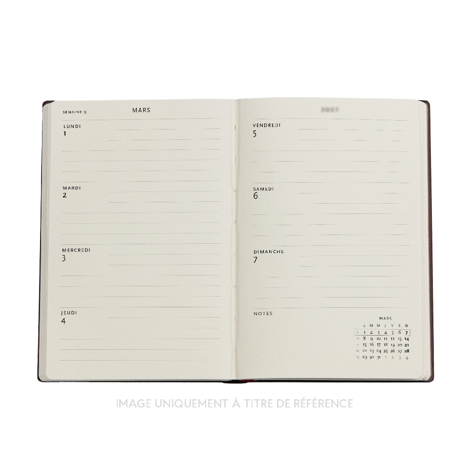 French 2027 Mimosa Mini Horizontal Softcover 12-Month Weekly Planner, 176pg, 100GSM by Paperblanks (Poetry in Bloom)
