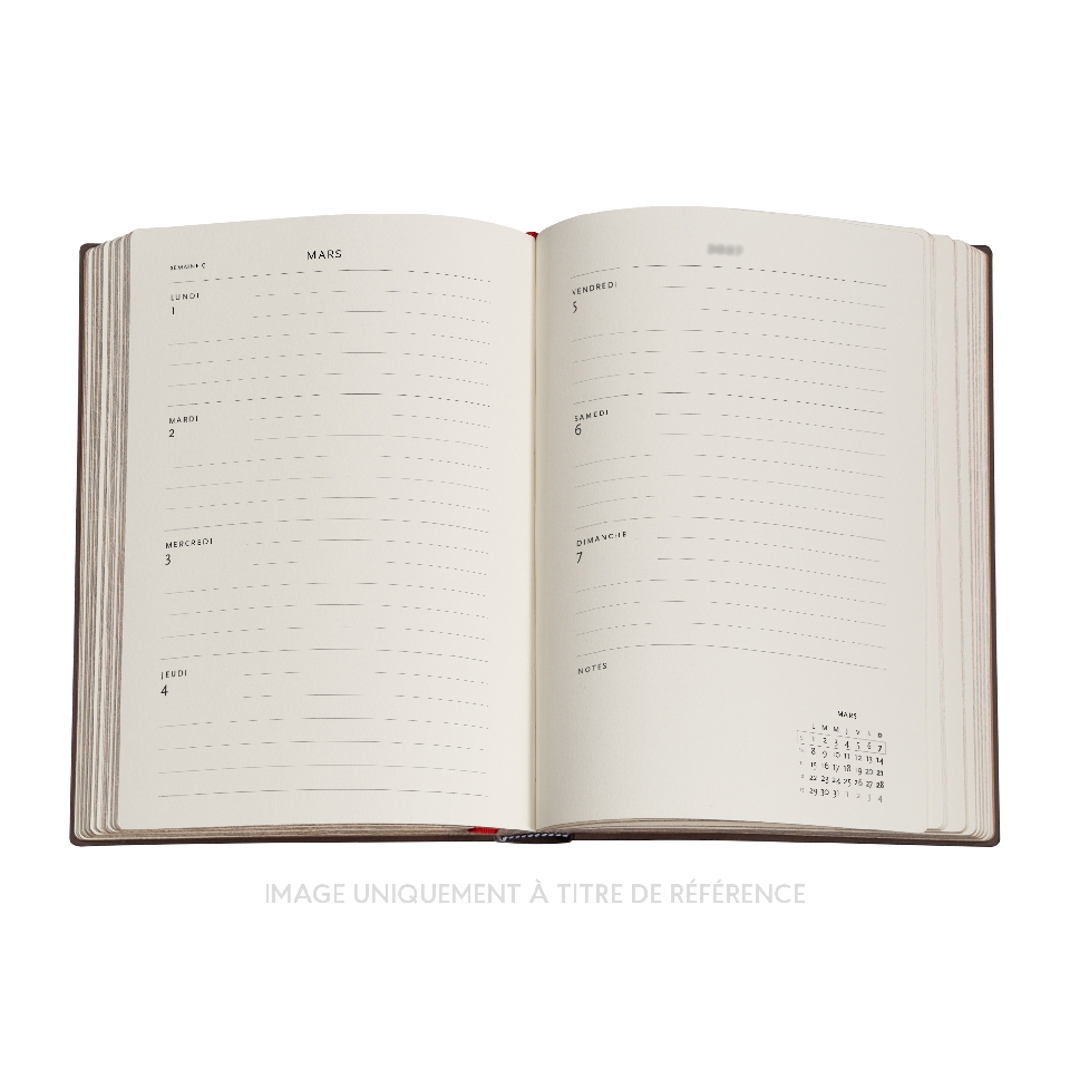 French 2027 Blue Willow Midi Horizontal Softcover 12-Month Weekly Planner, 176pg, 100GSM by Paperblanks (Celebrate Hanfu)