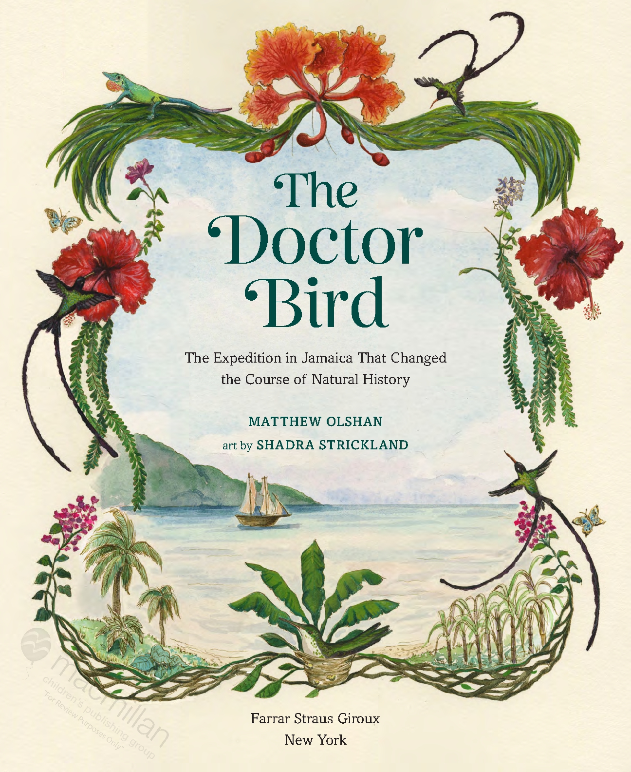 The Doctor Bird