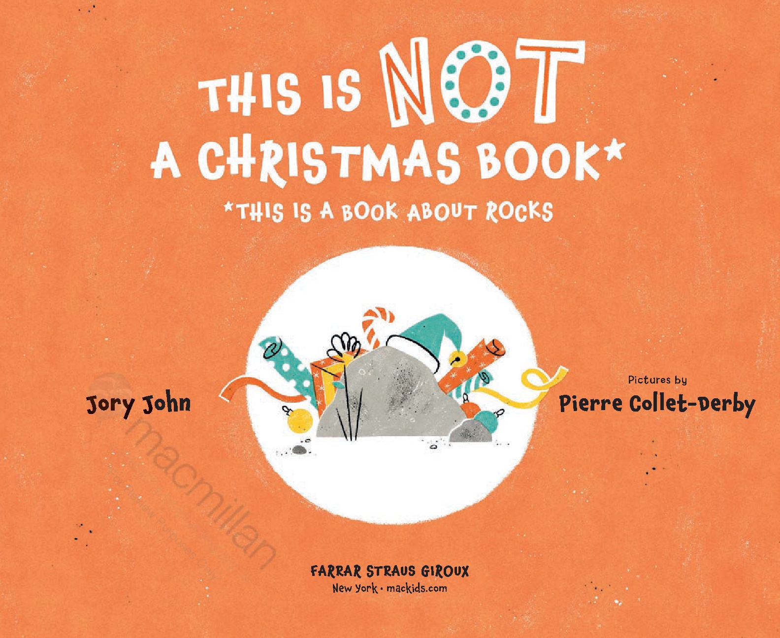 This Is Not a Christmas Book* (*This Is a Book About Rocks)
