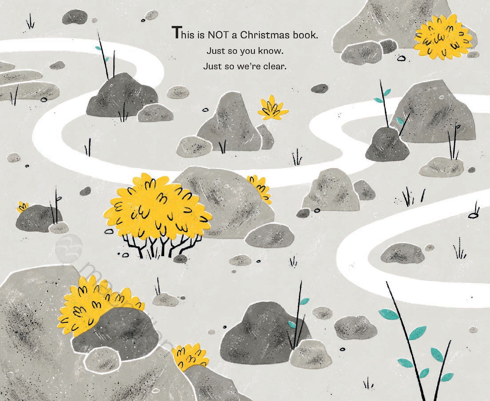 This Is Not a Christmas Book* (*This Is a Book About Rocks)