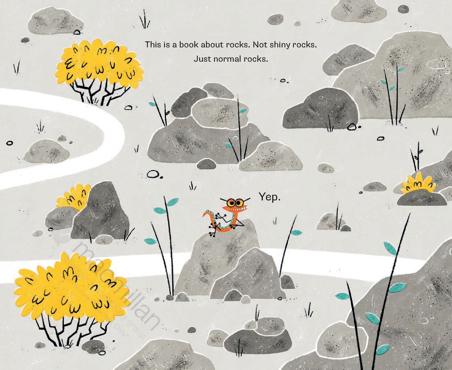 This Is Not a Christmas Book* (*This Is a Book About Rocks)