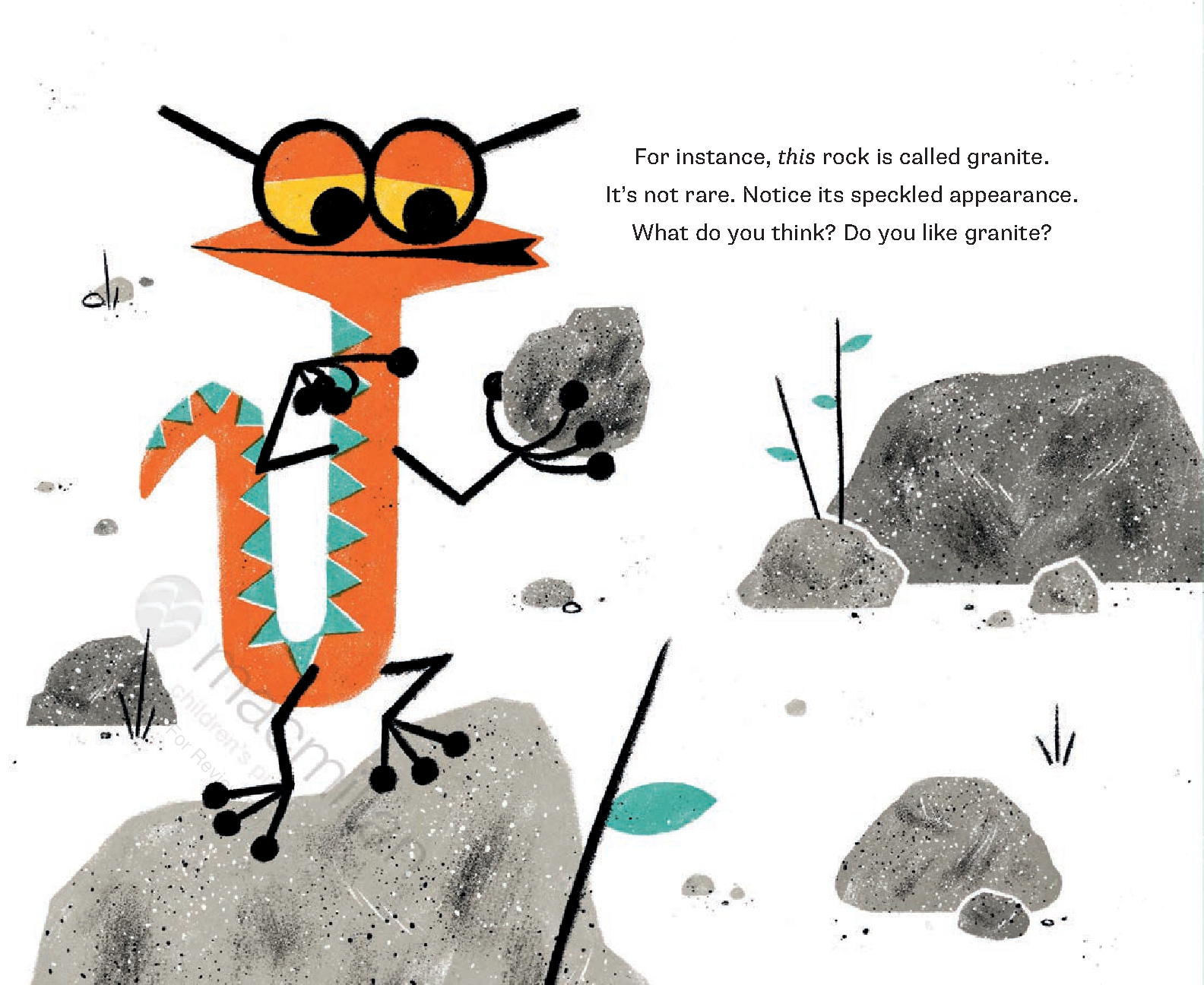 This Is Not a Christmas Book* (*This Is a Book About Rocks)