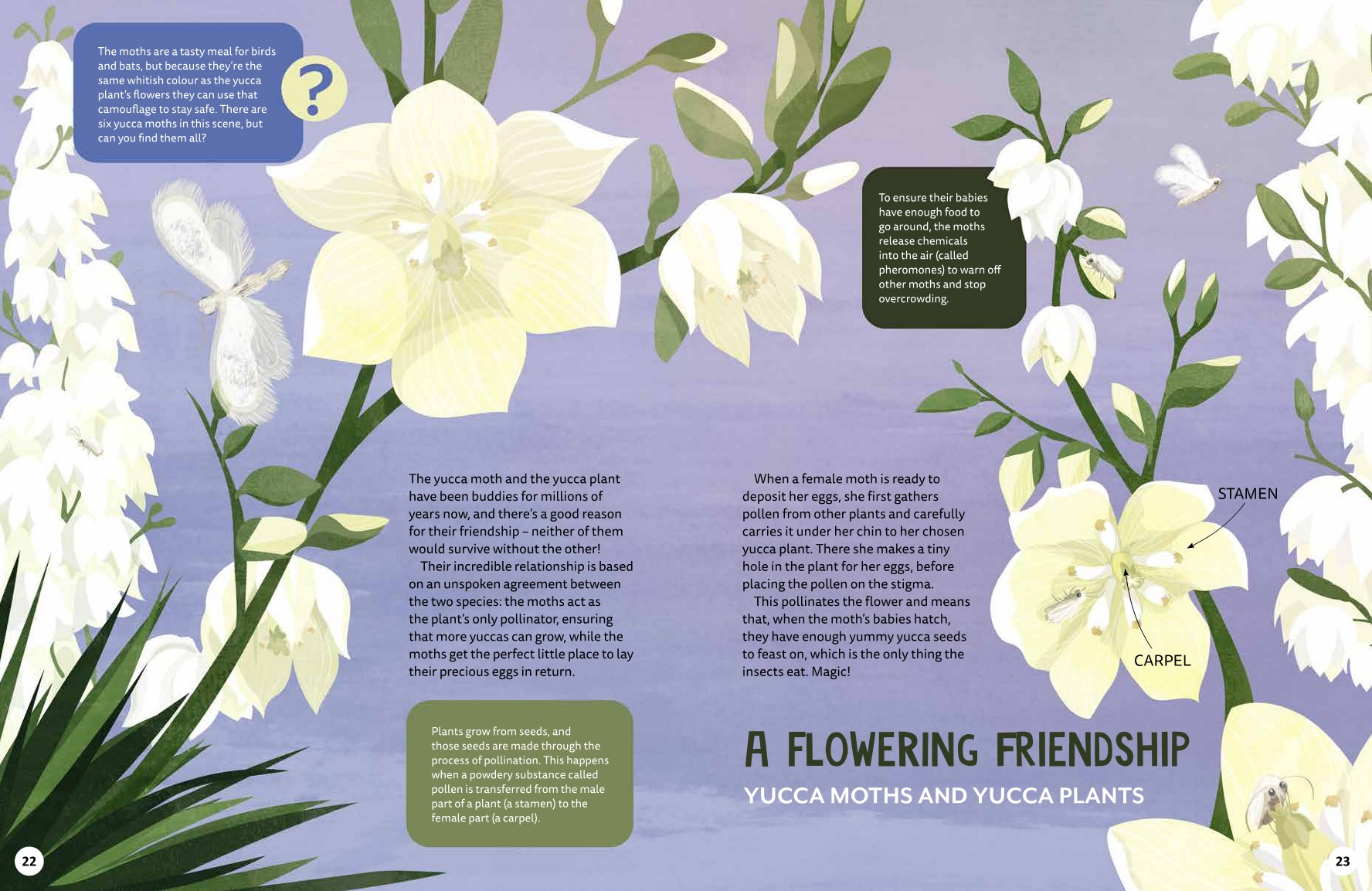 Nature's Fascinating Friendships