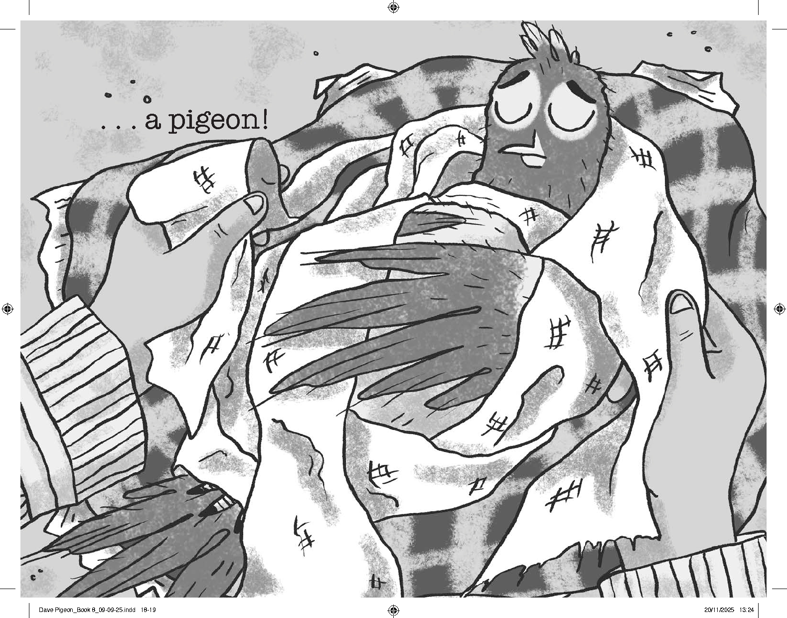 Dave Pigeon (Dave vs Dave!)