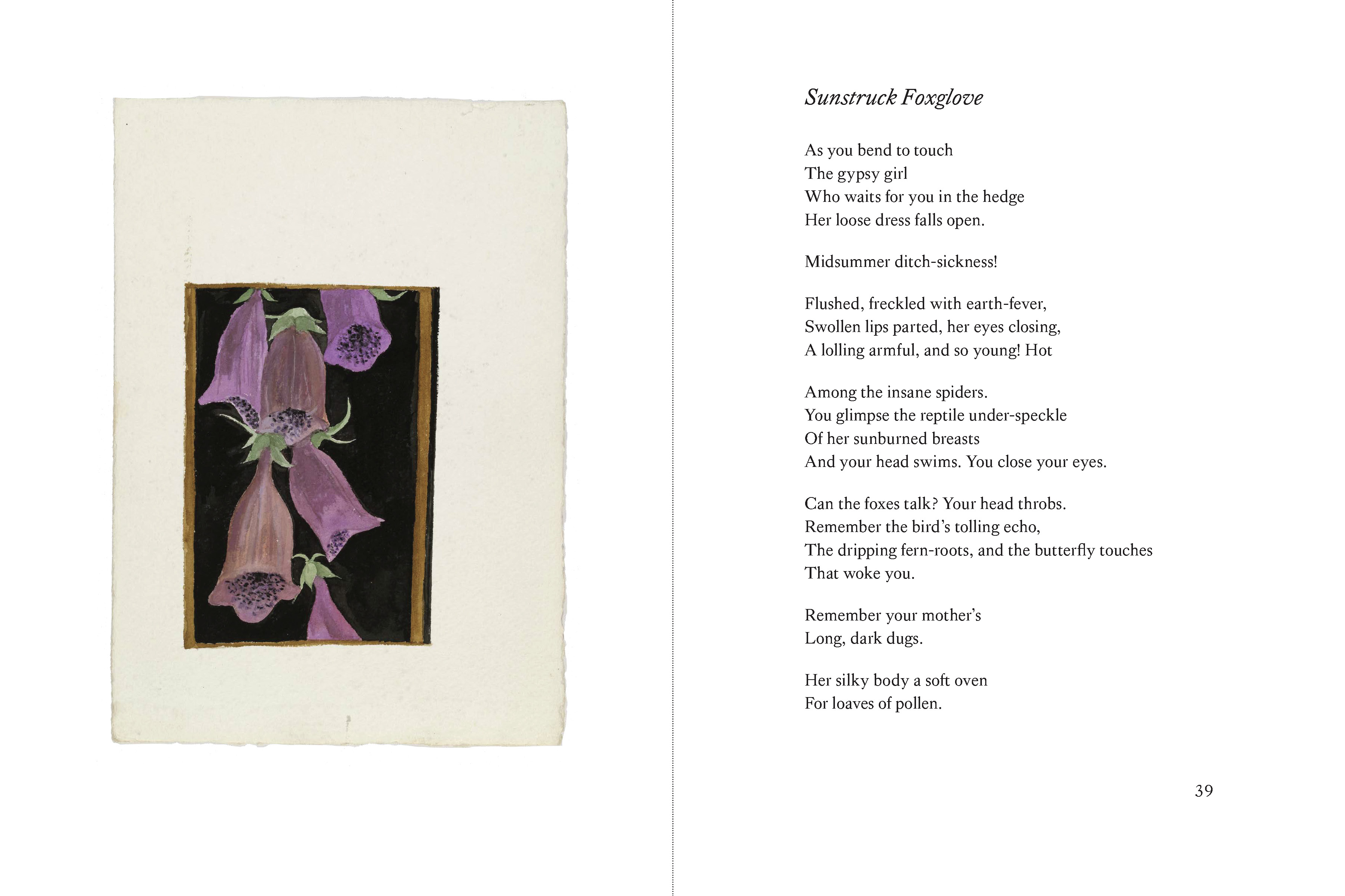 Flowers and Insects, Some Birds and a Pair of Spiders