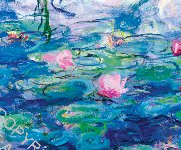 Monet Waterlilies Portfolio Notes