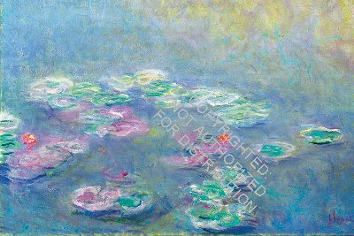 Monet Waterlilies Portfolio Notes
